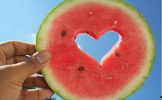 瓜趣娱乐这面吃的够美式,美式美食盛宴，尽享味蕾之旅